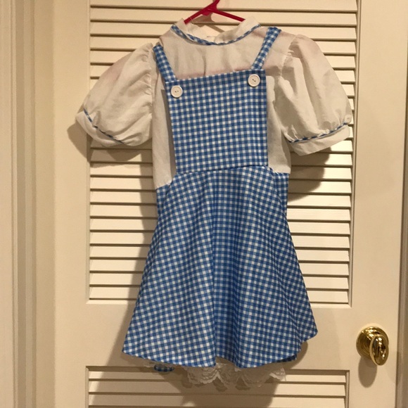 Other - Halloween costume. Dorothy From Wizard of OZ.